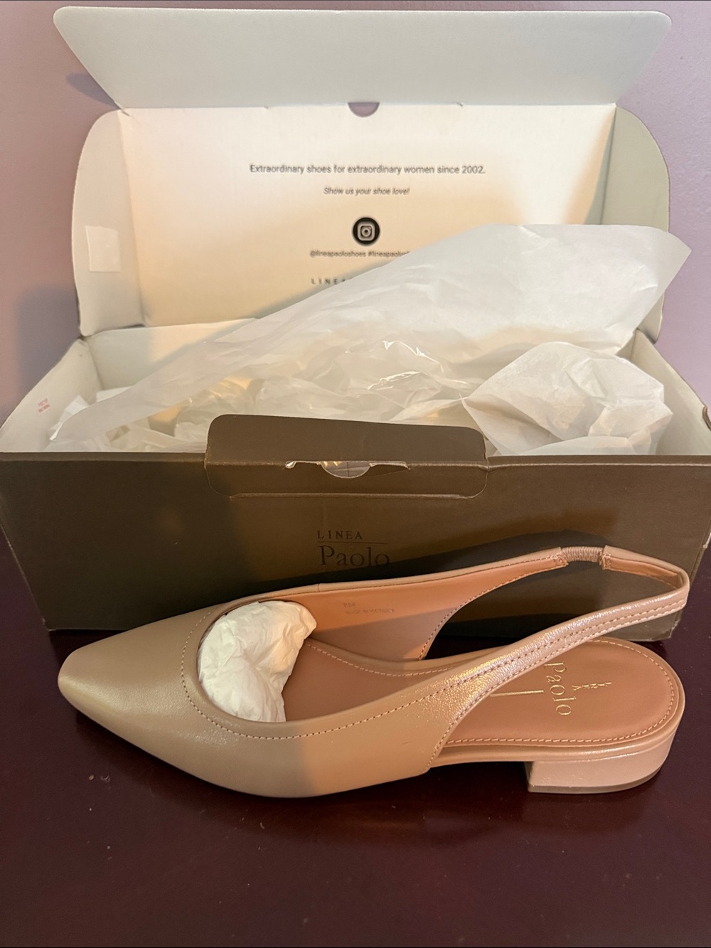 Paolo Beige Pointed-Toe Slingback Flats